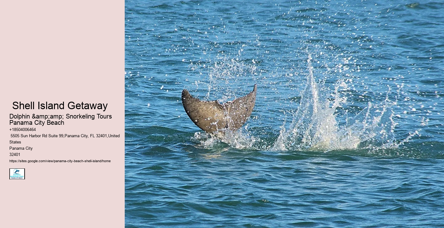  Leave Seashells On The Seashore Or Risk Damaging Ecosystem