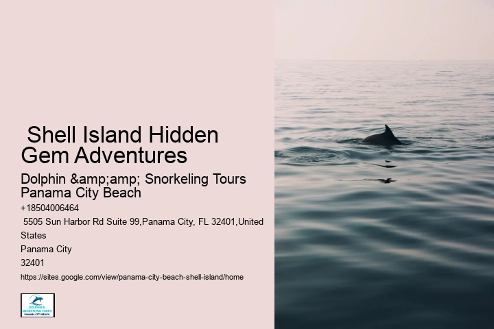  Shell Island Hidden Gem Adventures