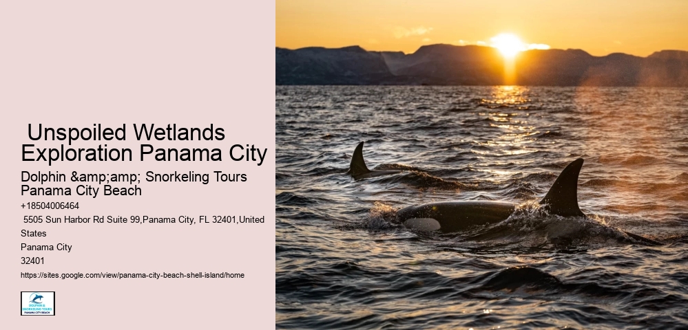  8 Fun Things To Do At Shell Island