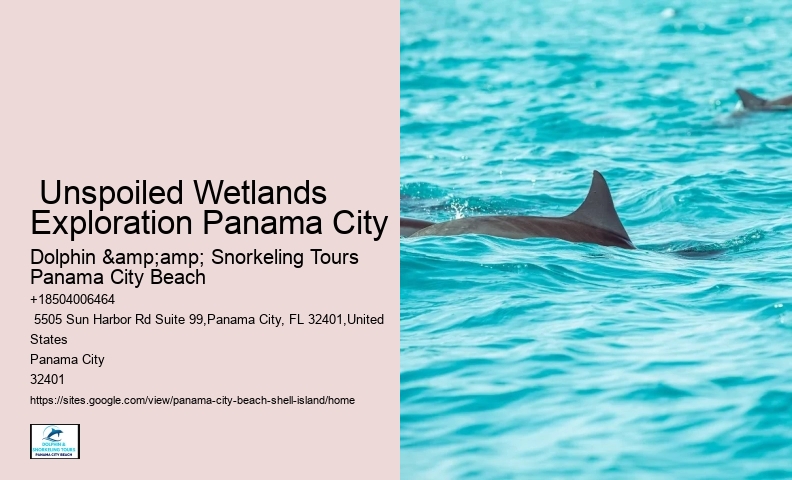  Shell Island Aquatic Oasis Tours