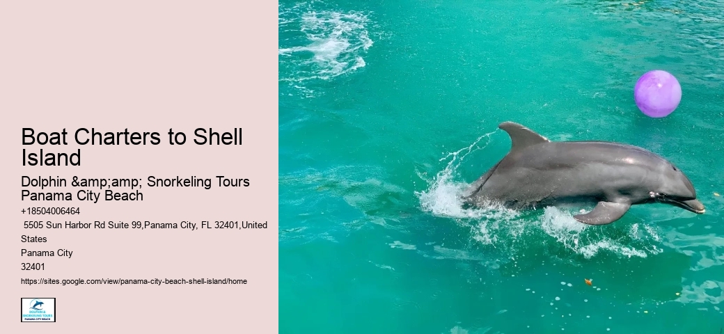  Best Shell Island Excursions Panama City Beach Florida