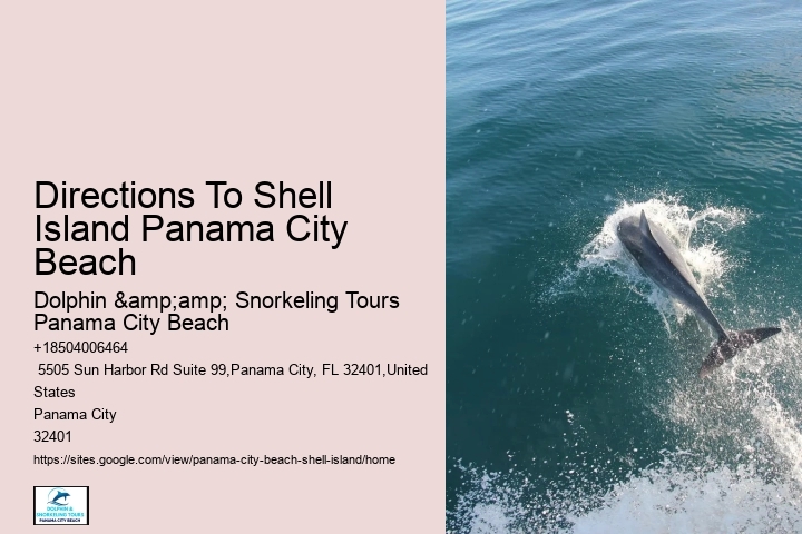  Dolphin Tours
