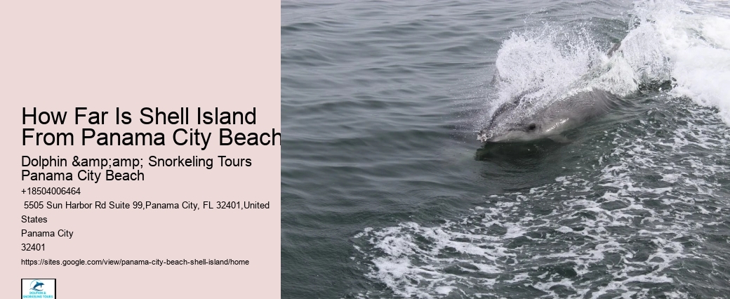  What Is Shell Island Famous For