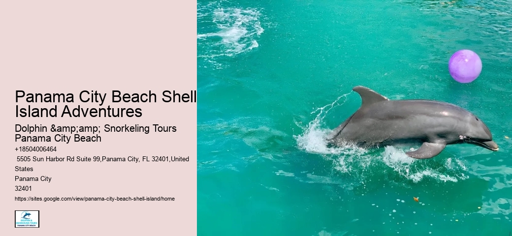  Shell Island Sightseeing Trips
