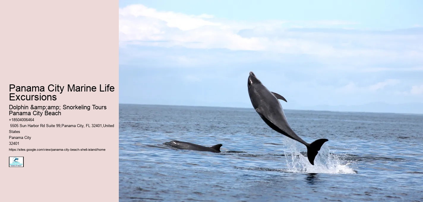 Panama City Marine Life Excursions