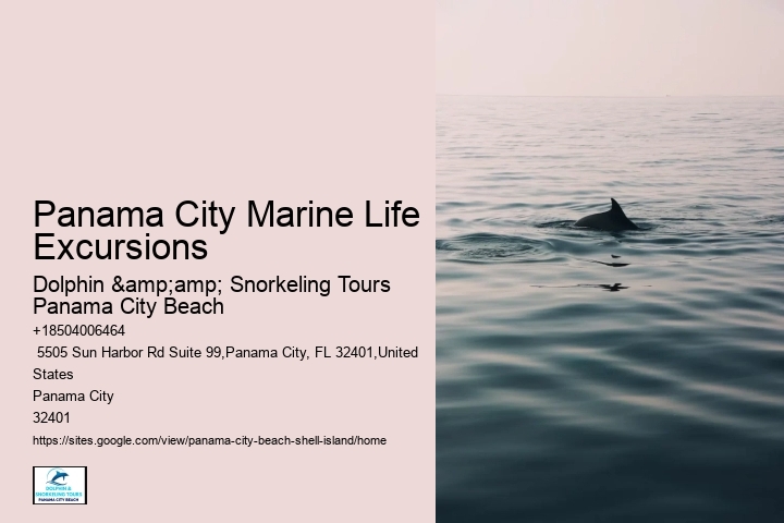  Panama City Serene Seashore Excursions