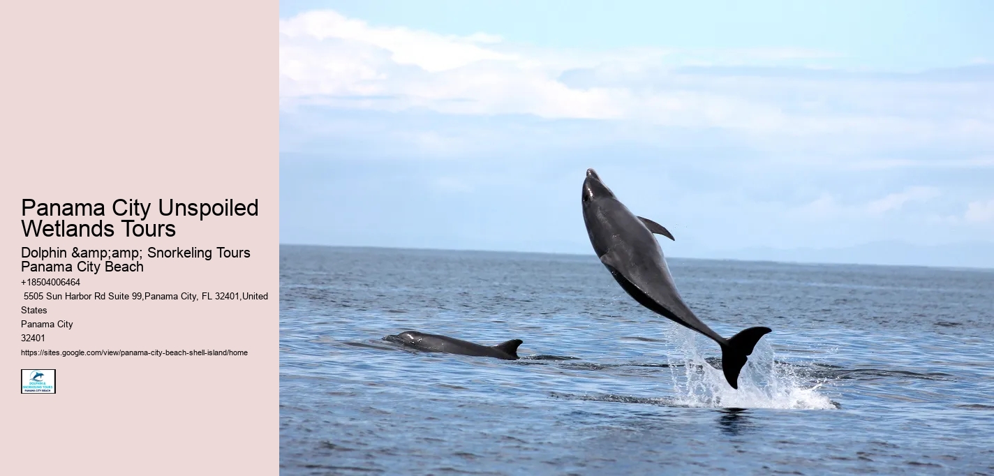 Panama City Unspoiled Wetlands Tours