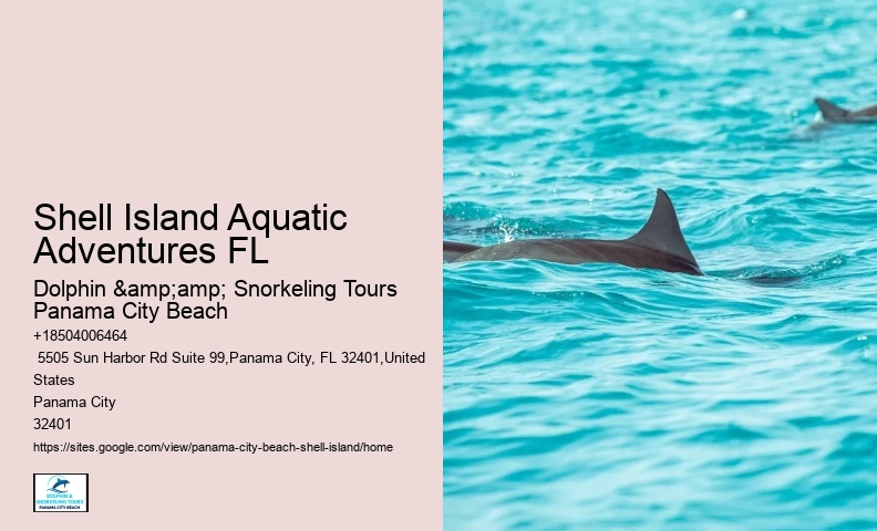  Shell Island Tours