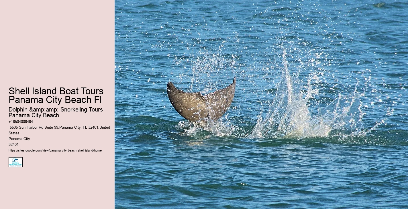  Shell Island Excursions Panama City Beach Florida Dolphin