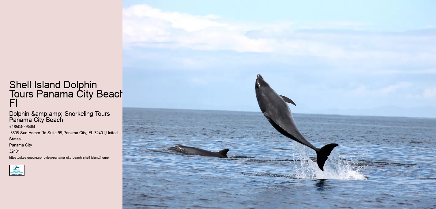 Shell Island Dolphin Tours Panama City Beach Fl