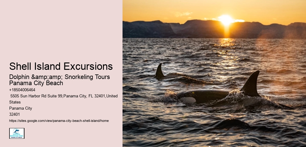  Coastal Paradise Panama City Excursions