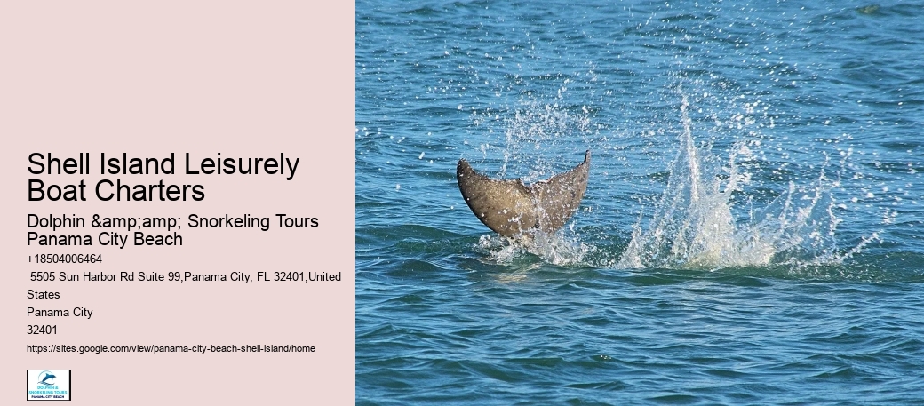  Shell Island Aquatic Paradise Tours