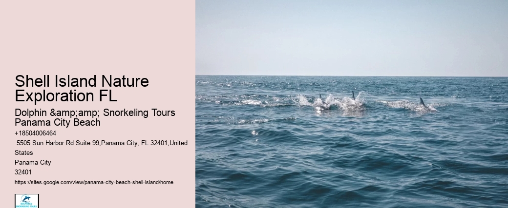  Shell Island Preservation Tours