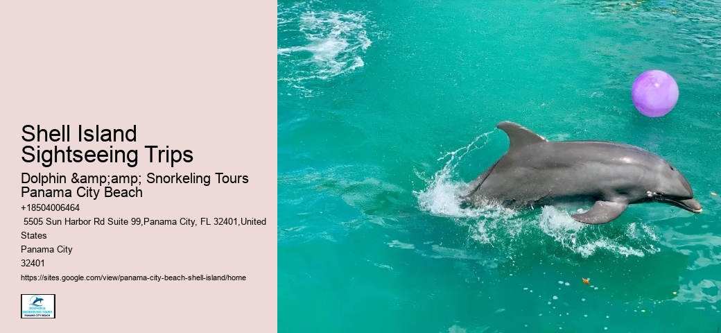  Coastal Serenity Shell Island Tours
