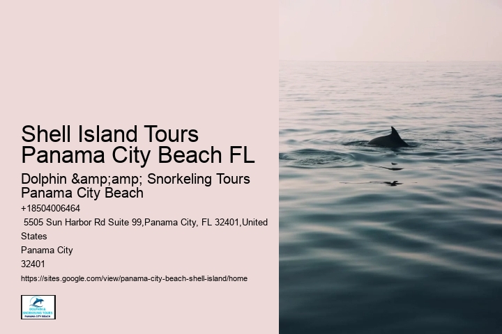 Shell Island Tours Panama City Beach FL