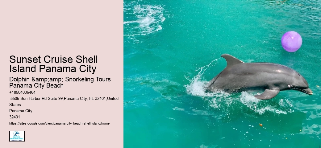  What Is Special About Shell Beach