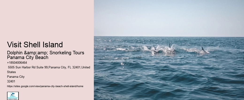 Visit Shell Island