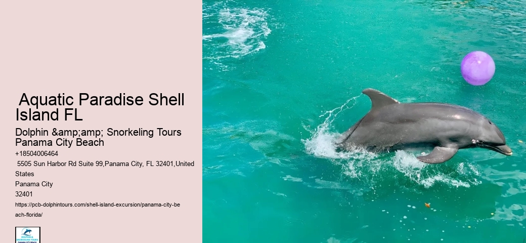  Best Beaches In Florida For Beachcombing & Shelling