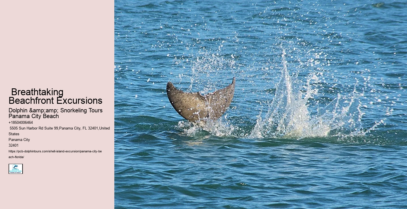  Swimming With Dolphins