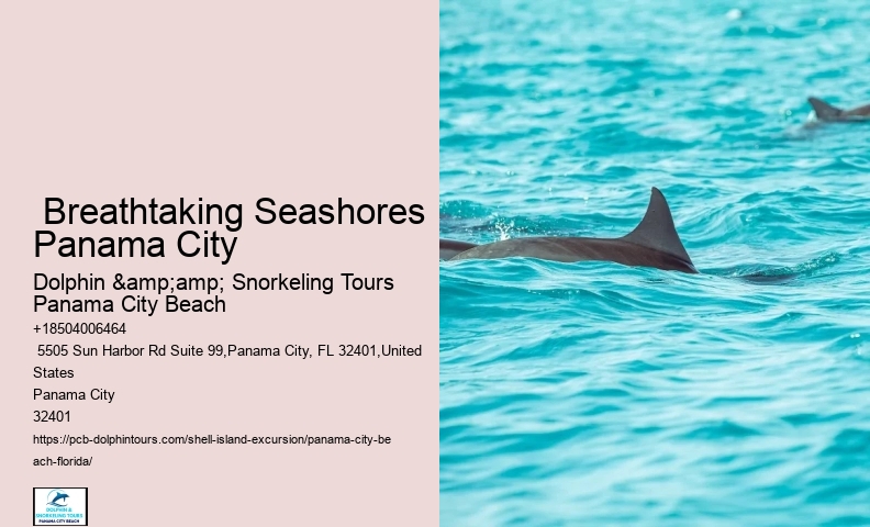  Shell Island Seafaring Excursions