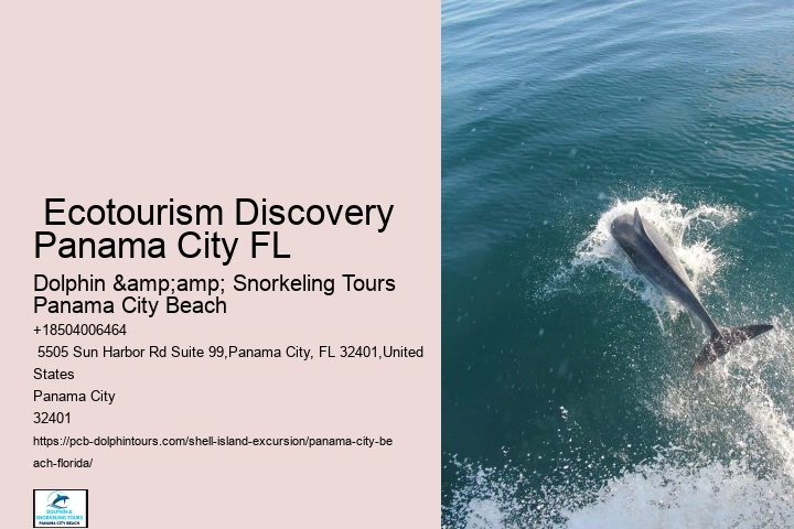  Panama City Shoreline Exploration