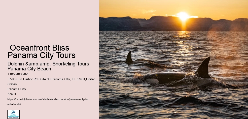  Shell Island Aquatic Serenity Tours
