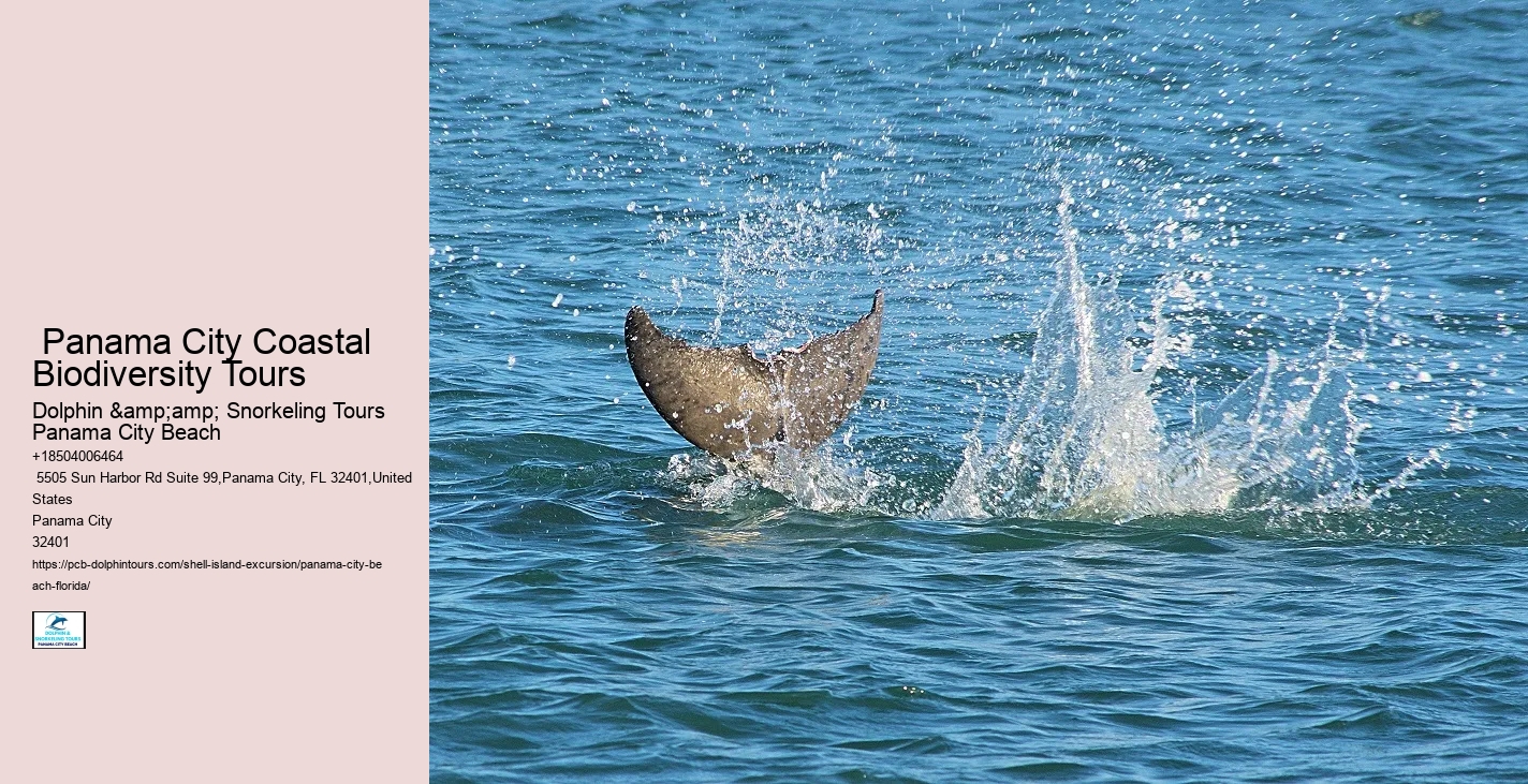 Bottlenose Dolphins