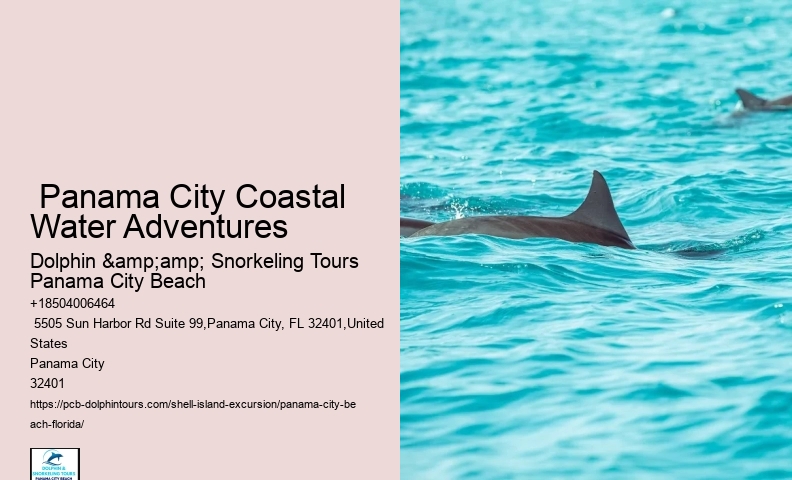  Shell Island Aquatic Bliss Tours FL