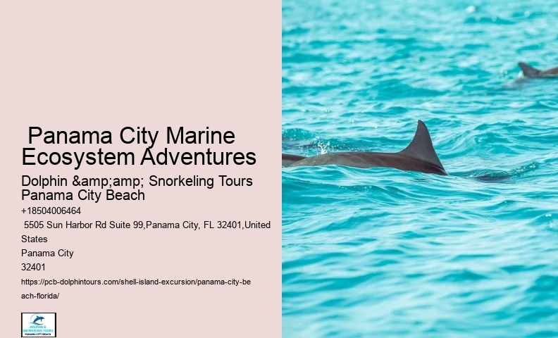  Sea Shelling: Can You Find Seashells In Panama City Beach
