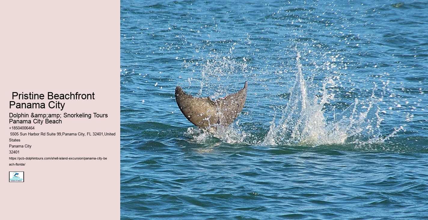  Panama City Coastal Biodiversity Tours