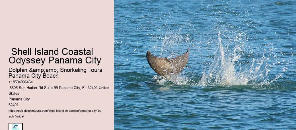  Panama City Waterside Discovery