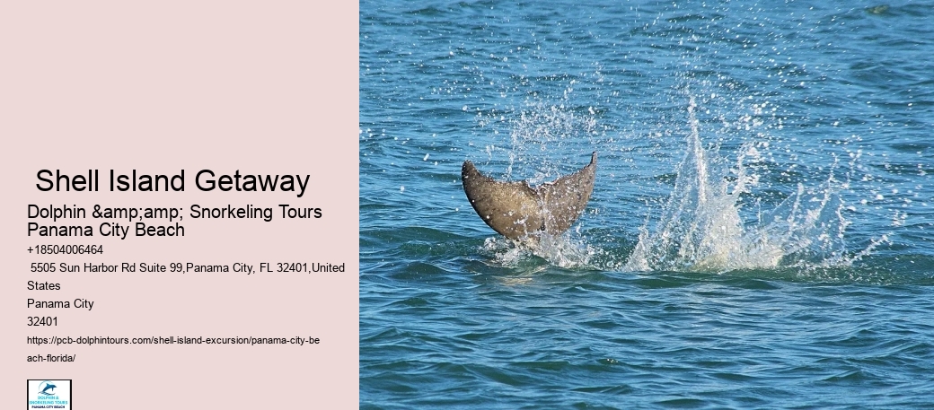  Panama City Seashore Wonder Tours