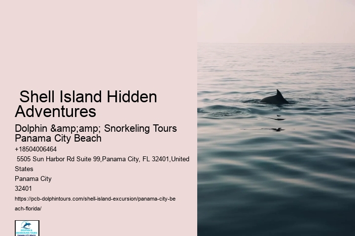  Shell Island Excursions Panama City Beach Florida Dolphin