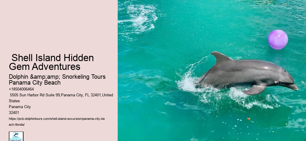  8 Fun Things To Do At Shell Island