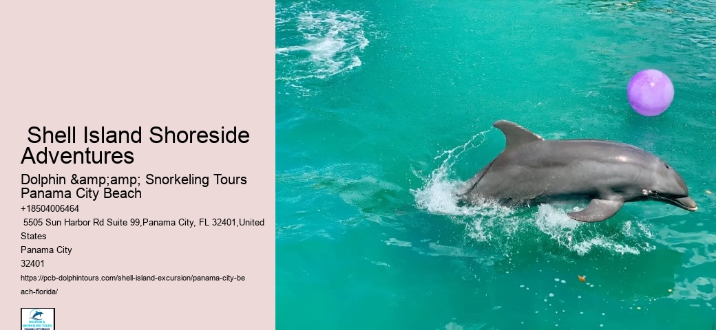  Shell Island Tours In Panama City Beach - Adventures At Sea