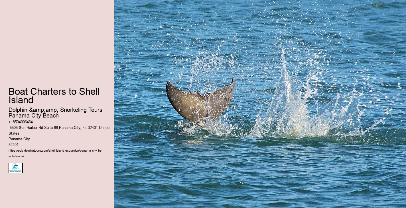  Panama City Beach's Shell Island | Pcb Dolphin Tours & More