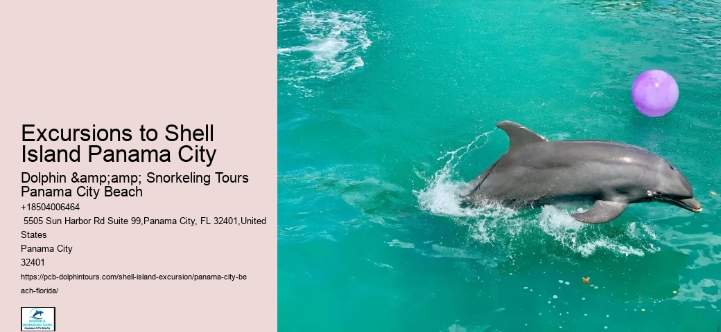  Coastal Serenity Shell Island Tours