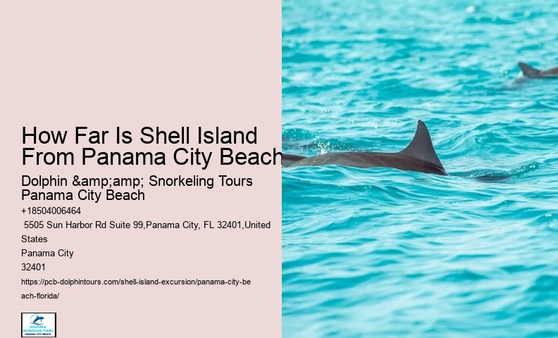  Shell Island Oceanfront Adventures