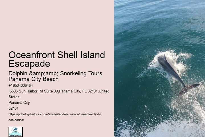  Shell