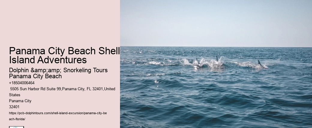  A Favorite Location For Beachcombing And Tidepooling