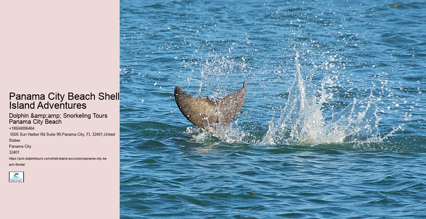 What To Bring To Shell Island In Panama City Beach Florida