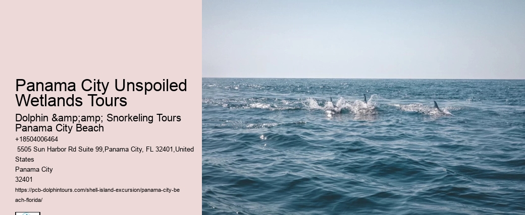  Where Does The Shell Island Shuttle Drop You Off?