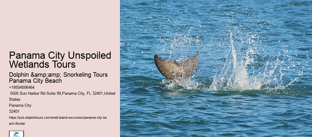  Panama City Coastal Relaxation Tours