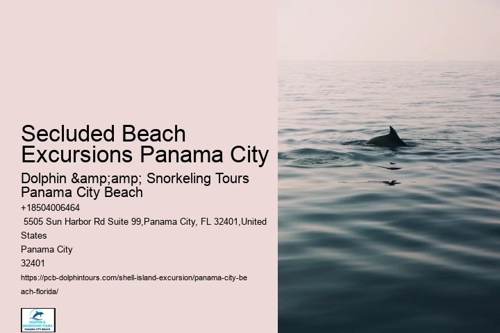  Shell Island Aquatic Oasis Exploration