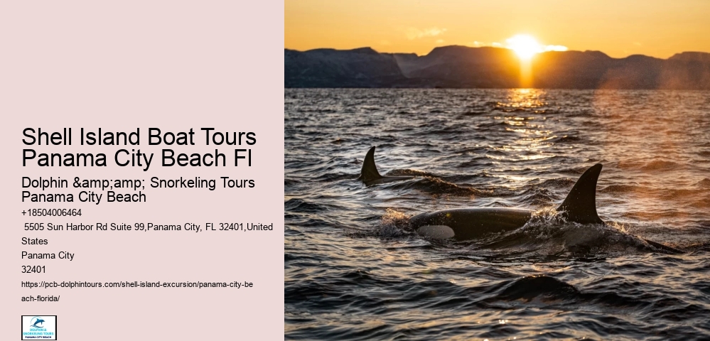  Panama City Shallow Waters Excursions