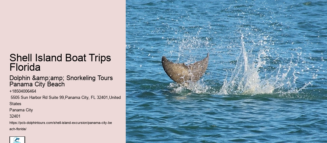  How Long Is Boat Ride To Shell Island