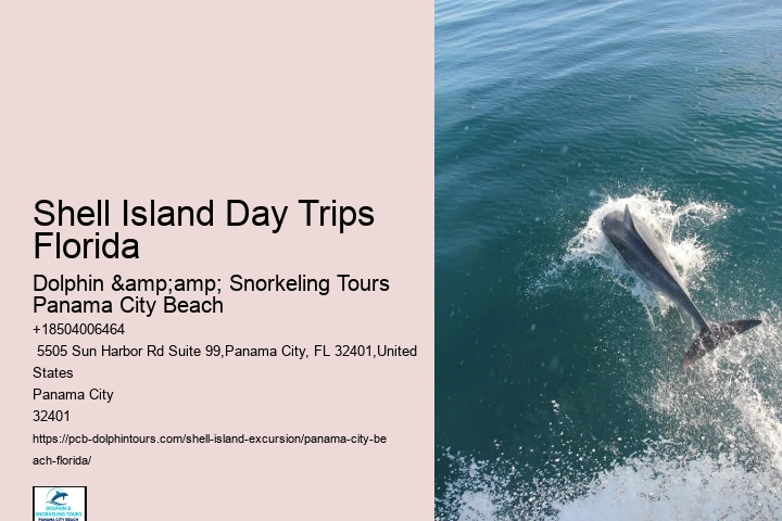  Can You Swim With Dolphins At Panama Beach