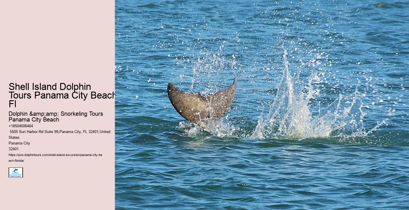 Shell Island Natural Habitat Tours