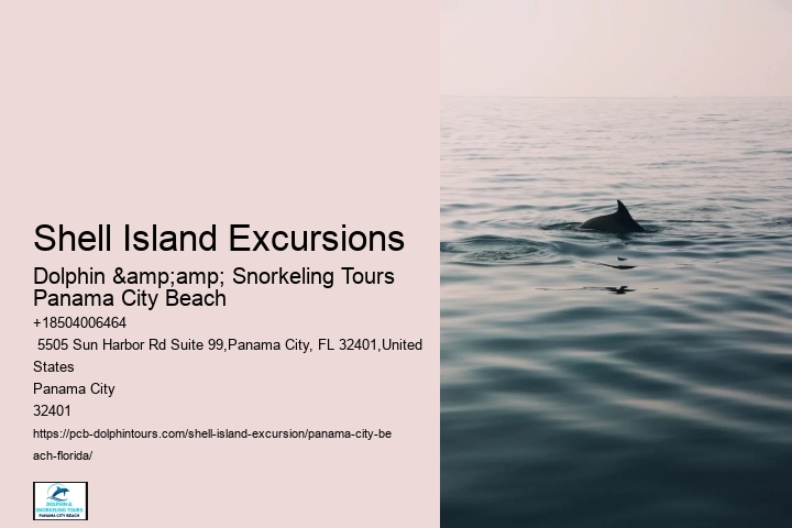  Shell Island Coastal Marvel Excursions