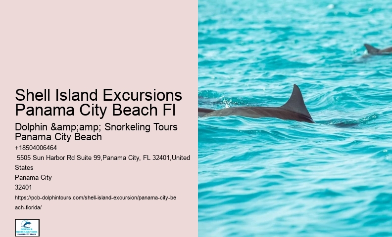 Best Beaches In Florida For Beachcombing & Shelling